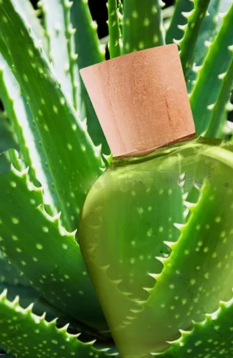 Aloe Vera Gel 100% Organic 4 OZ